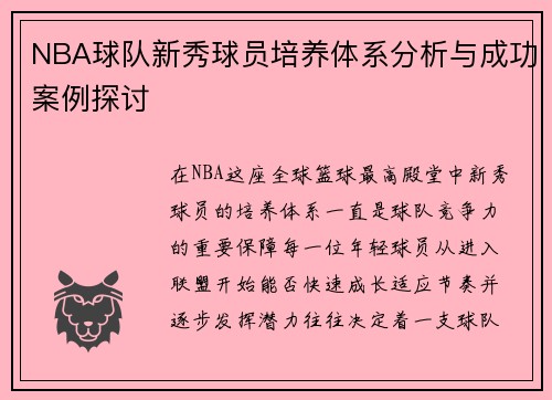 NBA球队新秀球员培养体系分析与成功案例探讨