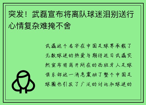 突发!武磊宣布将离队球迷泪别送行心情复杂难掩不舍 突发!武磊宣布将离队球迷泪别送行心情复杂难掩不舍